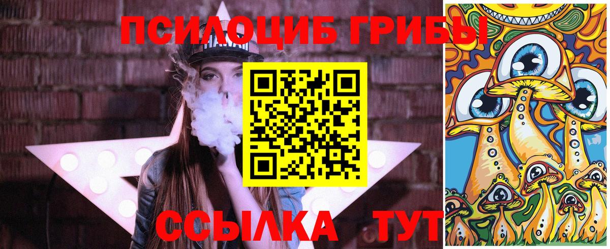 Галлюциногенные грибы Psilocybe Богданович