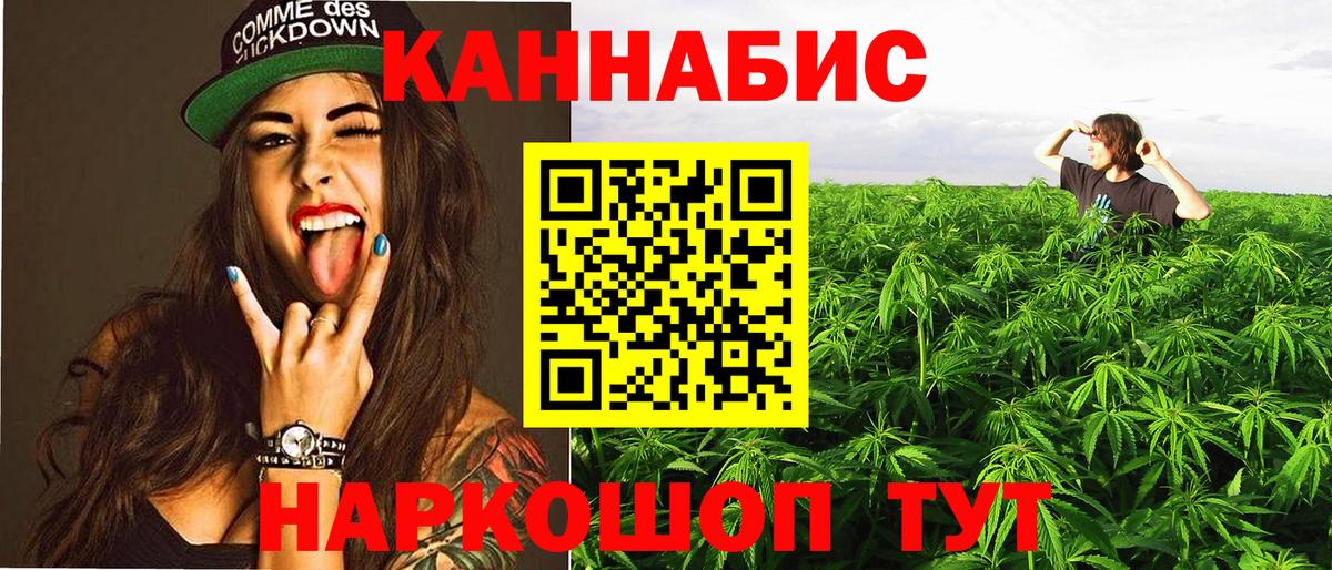 Каннабис ГИДРОПОН Богданович